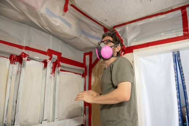 Best Residential Mold Inspection & Testing  in Roosevelt Park, MI